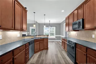115 Hurdle Ln, Raeford, NC 28376 - Photo 20