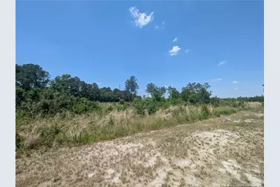 Tew Road, Autryville, NC 28318 - Photo 4