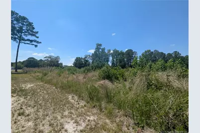Tew Road, Autryville, NC 28318 - Photo 6
