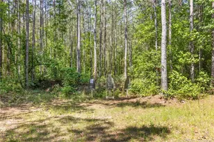 43 White Cloud Ln, Sanford, NC 27332 - Photo 50