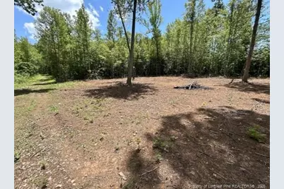 Pointe Mayo Drive, Roxboro, NC 27574 - Photo 2