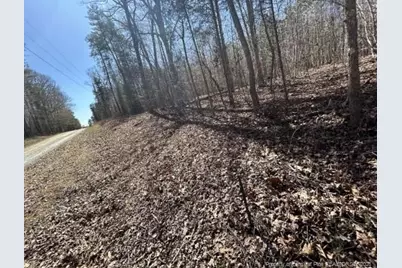 Pointe Mayo Drive, Roxboro, NC 27574 - Photo 10