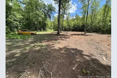 Pointe Mayo Drive, Roxboro, NC 27574 - Photo 4