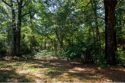 690 Live Oak Methodist Church Road, White Oak, NC 28399 - Photo 32