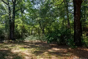 690 Live Oak Methodist Church Rd, White Oak, NC 28399 - Photo 32