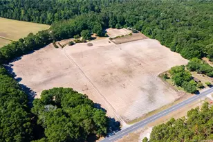 690 Live Oak Methodist Church Rd, White Oak, NC 28399 - Photo 36