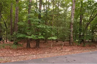 1146 Deerfoot Trail, Sanford, NC 27332 - Photo 2