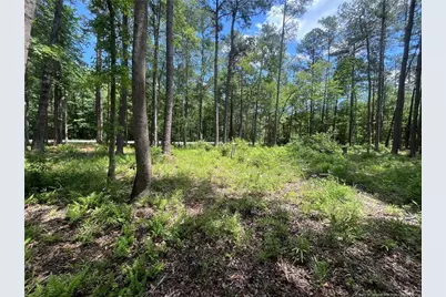 0 Bryant Circle, Maxton, NC 28364 - Photo 4