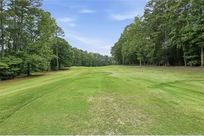 562 Chelsea Drive, Sanford, NC 27332 - Photo 50