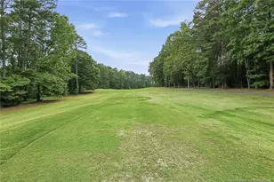562 Chelsea Dr, Sanford, NC 27332 - Photo 50