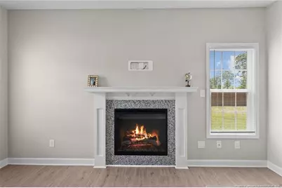 388 Dundee Farm Road, Raeford, NC 28376 - Photo 8