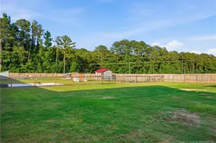 49 Alfalfa Dr, Parkton, NC 28371 - Photo 40