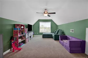 314 Bridle Dr, Raeford, NC 28376 - Photo 24