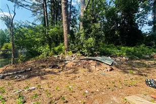 909 Ray Ave, Sanford, NC 27330 - Photo 2