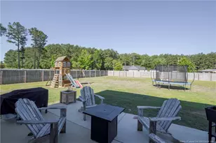 51 Merlin Ct, Godwin, NC 28344 - Photo 30