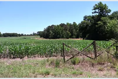 Sand Rock Road, Fairmont, NC 28340 - Photo 6