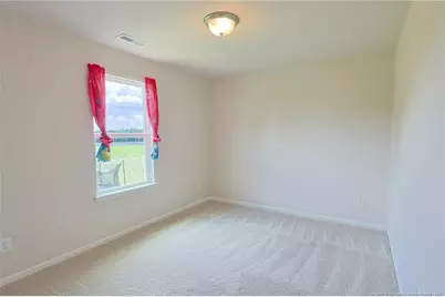 5565 Old US 421 Highway, Lillington, NC 27546 - Photo 22