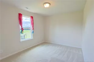 5565 Old US 421 Hwy, Lillington, NC 27546 - Photo 22
