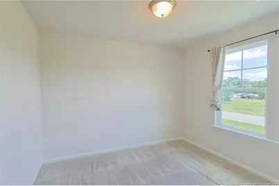 5565 Old US 421 Highway, Lillington, NC 27546 - Photo 12