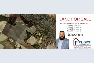 1063 Mt Tabor Rd Road, Red Springs, NC 28377 - Photo 1