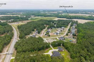 294 Pinecroft Dr, Dunn, NC 28334 - Photo 30
