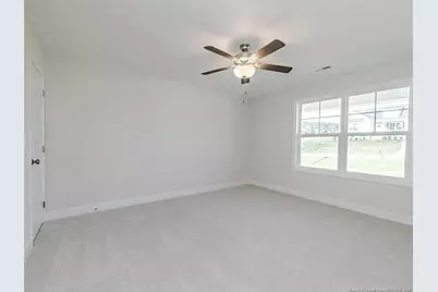 168 Placid Pond Drive, Broadway, NC 27505 - Photo 16
