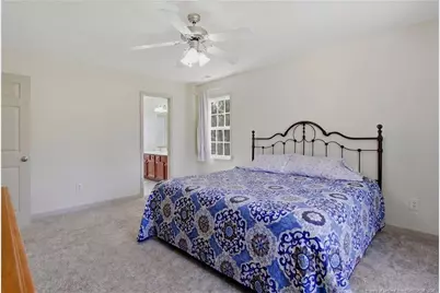 1075 Buffalo Lake Road, Sanford, NC 27332 - Photo 26