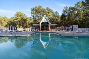 31 Pine Hill Ct, Spring Lake, NC 28390 - Photo 48