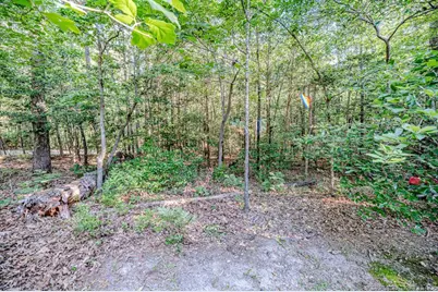 452 Sweet Gum Drive, Vass, NC 28394 - Photo 36