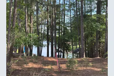 282 Pineridge Cove, Sanford, NC 27332 - Photo 30