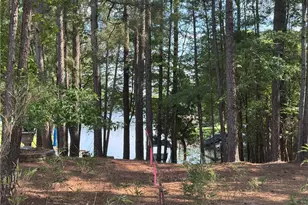 282 Pineridge Cove, Sanford, NC 27332 - Photo 42
