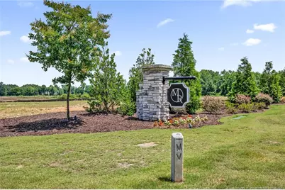 270 Chestnut Oak Lane, Lillington, NC 27546 - Photo 44