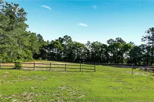 4645 Blue Sand Hill Rd, Stedman, NC 28391 - Photo 50