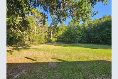 18420 Quicktown Road, Hamlet, NC 28345 - Photo 34