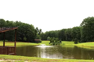 105 Shining Water Ln, Spring Lake, NC 28390 - Photo 32