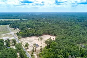 17240 Palmer Rd, Marston, NC 28363 - Photo 34