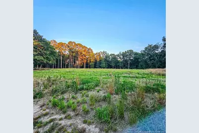 833 Brown Road, Lillington, NC 27546 - Photo 4