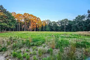 833 Brown Rd, Lillington, NC 27546 - Photo 4