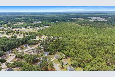 171 Gertie Court, Raeford, NC 28376 - Photo 4