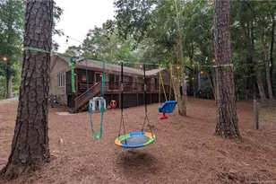 248 Chickory Pl, Vass, NC 28394 - Photo 48