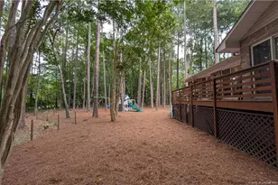248 Chickory Pl, Vass, NC 28394 - Photo 46