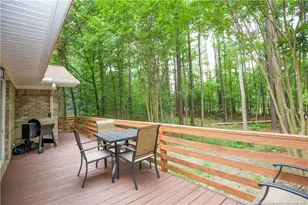 248 Chickory Pl, Vass, NC 28394 - Photo 40