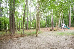 248 Chickory Pl, Vass, NC 28394 - Photo 50
