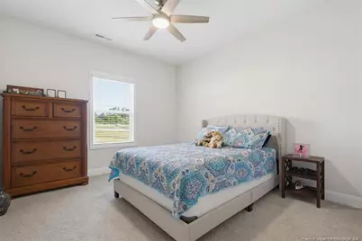 22 Capeside Courts, Lillington, NC 27546 - Photo 32