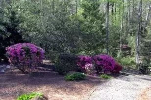 288 Fairway Ln, Sanford, NC 27332 - Photo 42