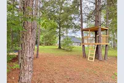 239 Apache Trail, Sanford, NC 27332 - Photo 18
