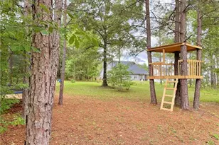 239 Apache Trail, Sanford, NC 27332 - Photo 18