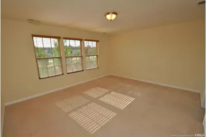316 Windy Peak Loop, Cary, NC 27519 - Photo 22