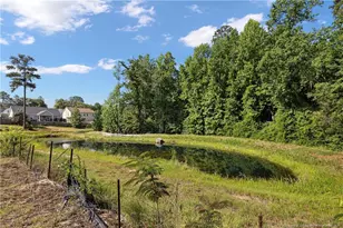 3212 Point Crossing Pl, Fayetteville, NC 28306 - Photo 42