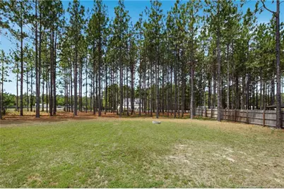 175 Desert Orchid Circle, Raeford, NC 27376 - Photo 40
